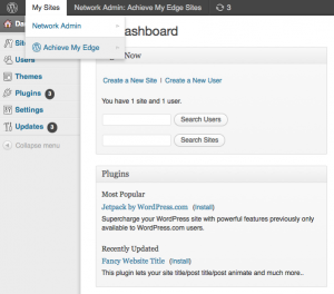 WordPress MultiSite Dashboard WordPress MultiSite Dashboard
