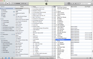 iCloud Status Column