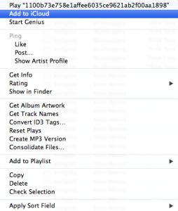 Add to iCloud Context Menu