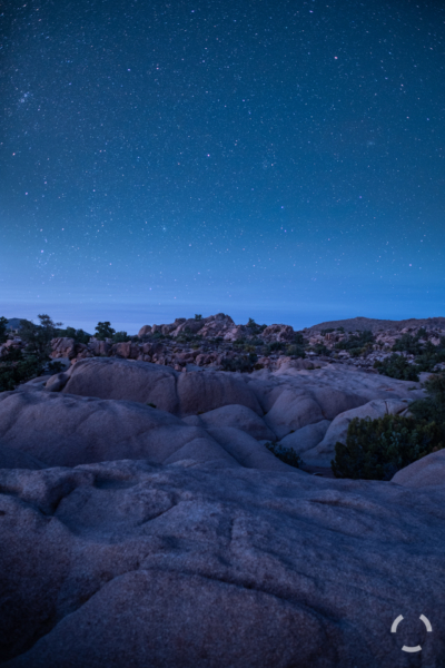 Nightfall at Live Oak