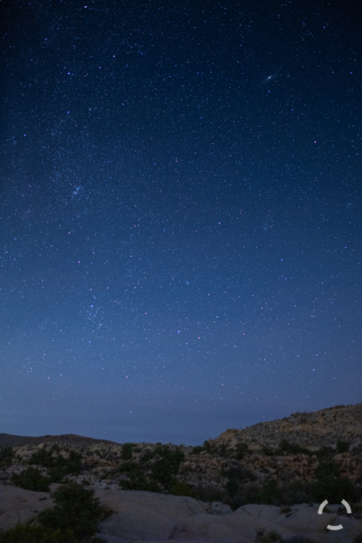 Stars appear over Joshua Tree