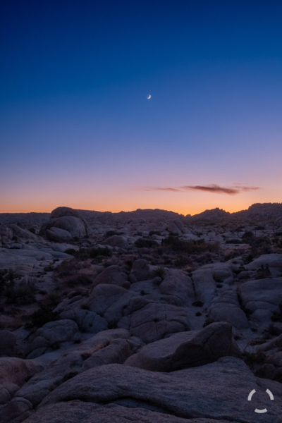 Moonset over Live Oak Joshua Tree