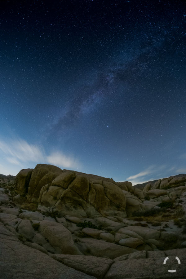 Milky Way over Live Oak