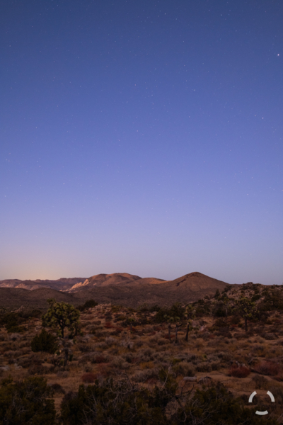 Stars Peeking out