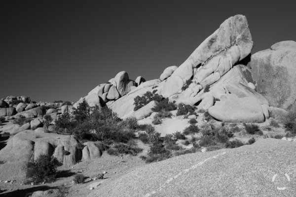 _DSF9564-20190531